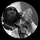 BMORE_DANDAN