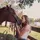 Amber_eq