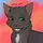 Raven_paw12