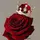Nise_xg68