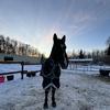 Ilovemypony🐴🤠✝️✨-avatar