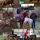 MG_BARRELRACER13