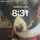 TobyTheBorderCollie