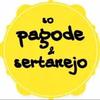 Pagode e Sertanejo 🎶-avatar