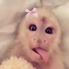💗siennaaa💗-avatar