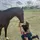 Madison equestrian 