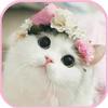 ♡❁✶A cat✶❁♡-avatar