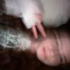 lil_bug-avatar
