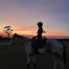 Sophia 💋🐴-avatar