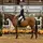 seg11_eq