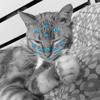 rosie670461-avatar
