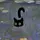 Savvy_Sable