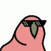 PartyParrot-avatar