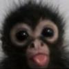 ୨୧⋆australis⋆୨୧-avatar