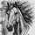 Zorse