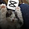 ★ Andrezza_Twidsnt ★-avatar