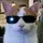 jesso_edits1