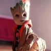 lucasxll ff-avatar