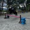 Hoses & me -avatar