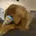Cay_11121