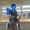 Hazy.Equestrian-avatar