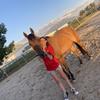 Horsegrl-avatar