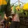 agro_statusbr