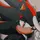 Shadow The Hedgehog 