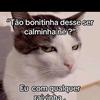 Aline Reis681-avatar
