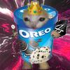 🍪Oreo Cat🐱-avatar