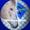 MR•Equestrain -avatar