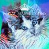 Royal Maine Coon Kittens Cats-avatar