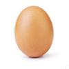 Egg-avatar