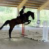 Tal do frente aberta, bixo é bonito!🔥🐴 #vaiprofycaramba #horse #cava