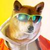 Cachorro Caramelo-avatar