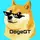 DogeGT