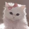 Pastel Kitten ♡-avatar