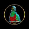 QuetzalitoGT502 -avatar