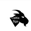 Celtix_sgs_tiktok-avatar