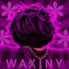 WAXINY-avatar