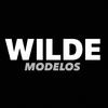 Wilde-avatar