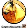 cavalo_crioulo.edits-avatar