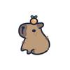 💫•capybara•💫-avatar