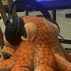 Octopus 𝔤𝔞𝔪𝔦𝔫𝔤🇺🇸-avatar