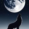 Luna & Wolf-avatar