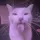 Cookiemasteruwu
