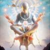 Co-Creator.-avatar
