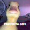 PATOTOYA editz-avatar