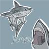 Jorge o tubarão 🦈-avatar