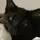 Cocoa